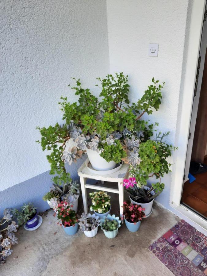 וודיצה Apartmani Gracela מראה חיצוני תמונה